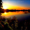 Дмитрий Герасимов