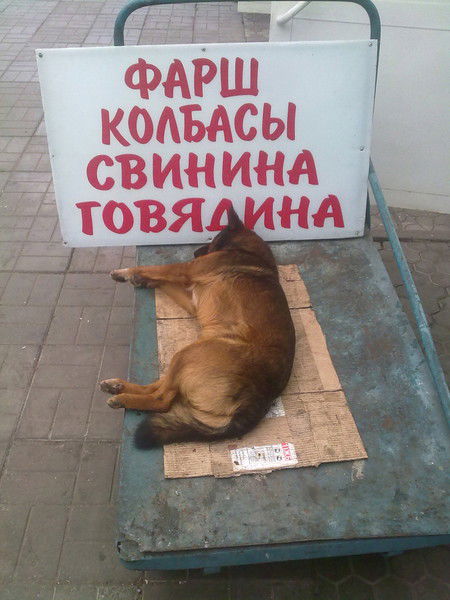 Андрей Саньков