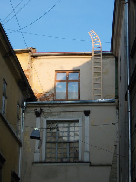 Анастасия Шмыкова