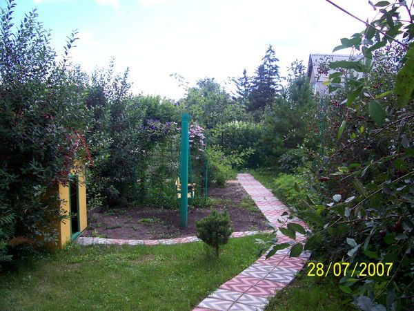 Александр Глинский