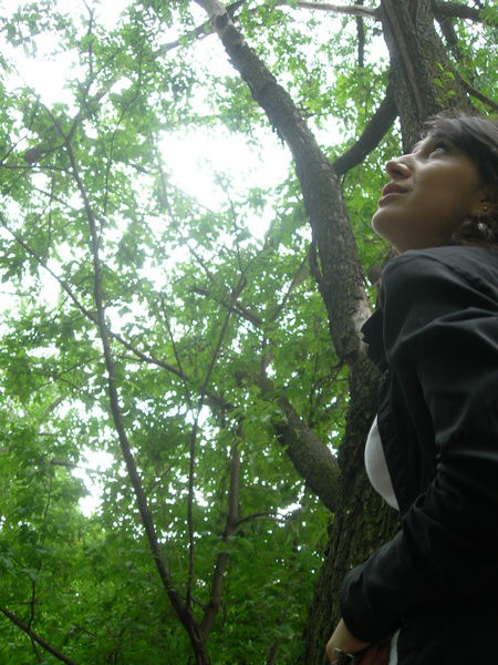 Великая Волшебница