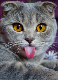 Юлия Пономарёва