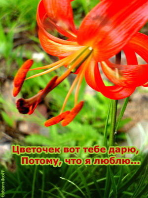 Надежда Иванова