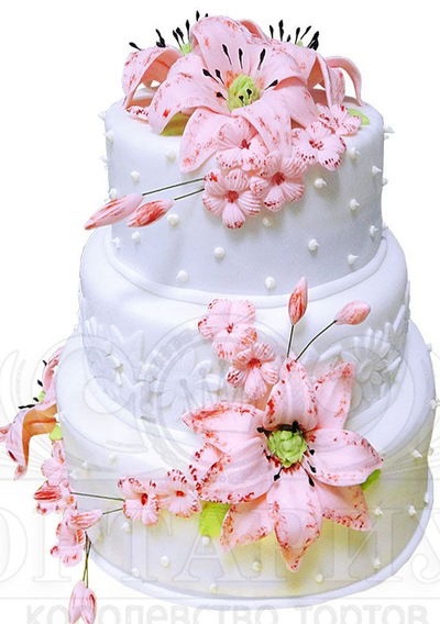 Вікторія Латиш