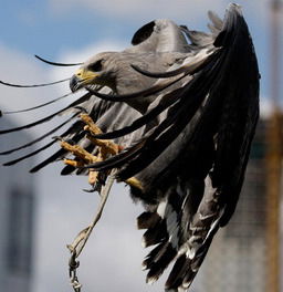 Иран Хайруллин