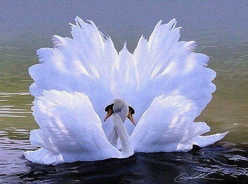 Елена Королева