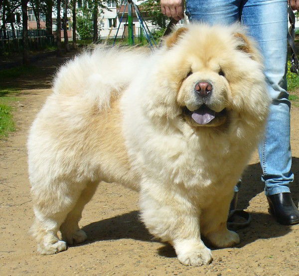 Татьяна Мак