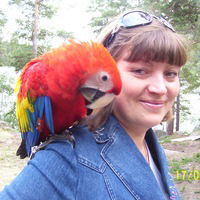 Александра Шнитко