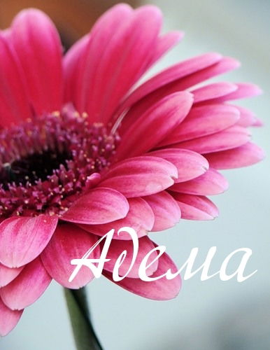 Адема Нуриманова