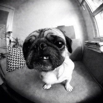 Леонид Соколов