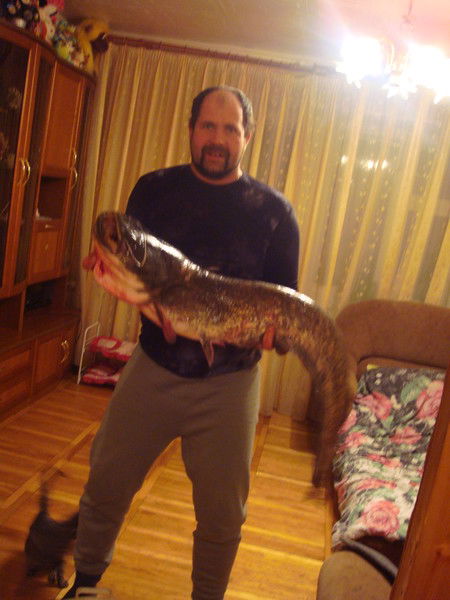 Андрей Кислицын