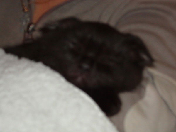 Владимир Скибун