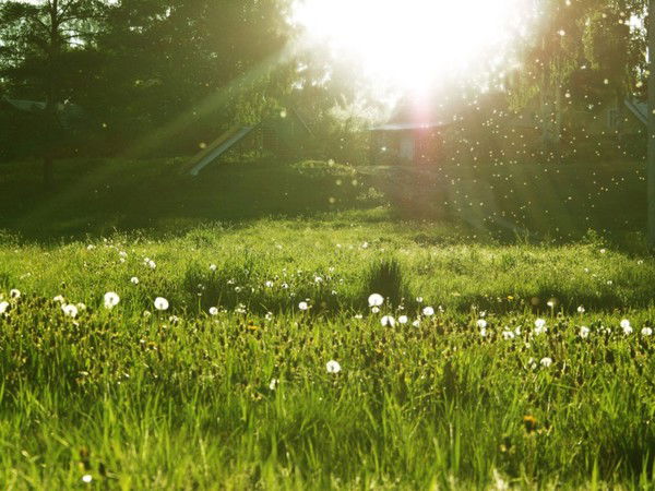 Игорь Абузяров