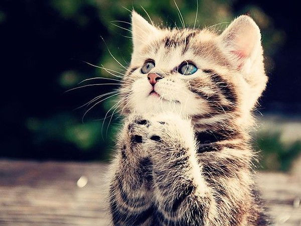 Ххххх Ххххх