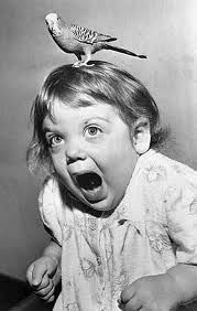 Инесса Городецкая