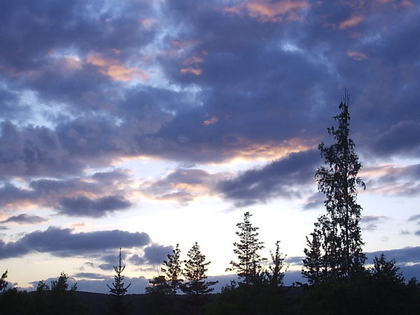 Анна Лысова