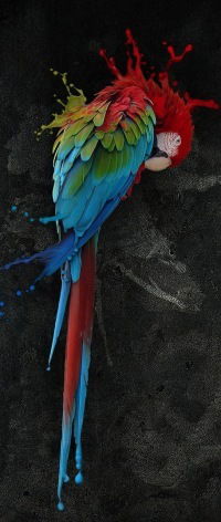 Женя Китаева