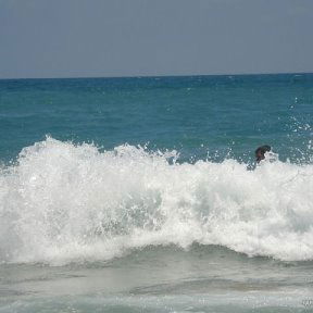 Галина Гармата