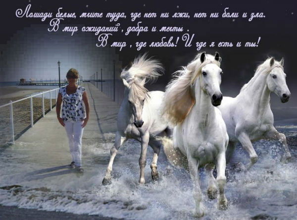 Вера Вавилова