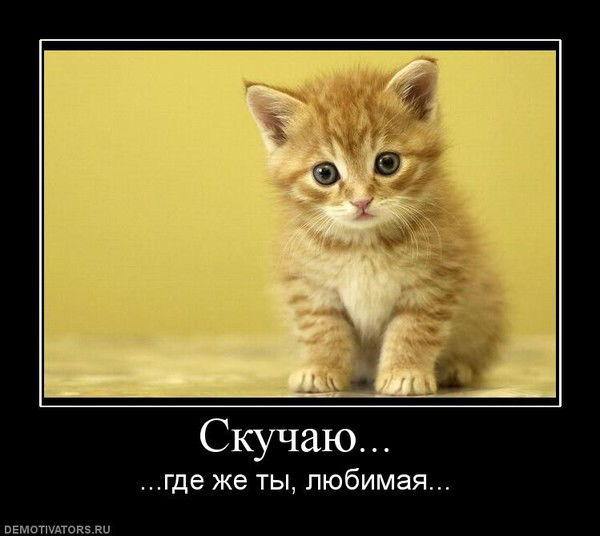 Айганат Чувакова