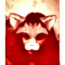 Аля Корт