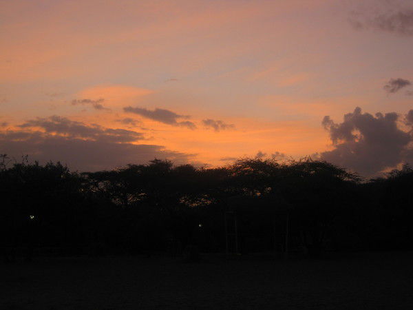 Наталья Роик