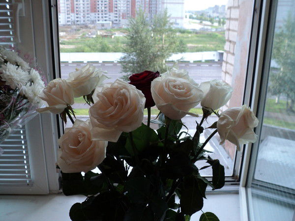 Анастасия Паршина