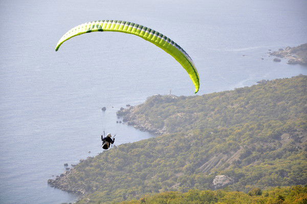 Бондаренко Виталий