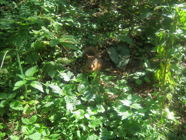 Валентина Рыбакова