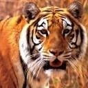 Евгений Александров