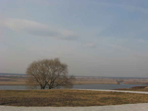 Елизавета Ли