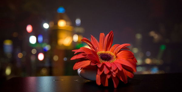 Газета Авангард Тоо Журналист