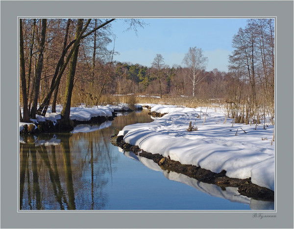 Денис Новожилов