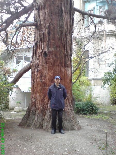 Лазаренко Игорь