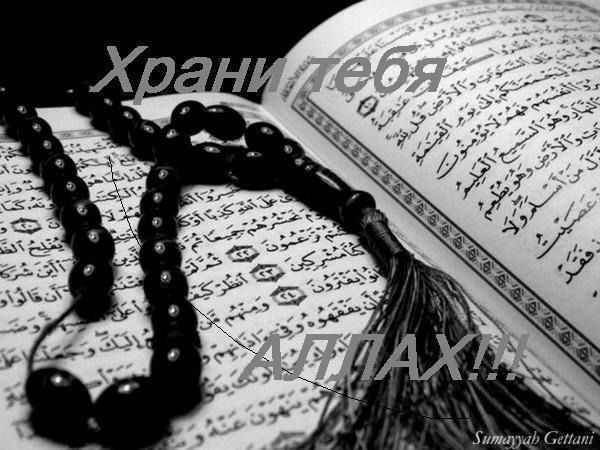 Тимур Нарманов