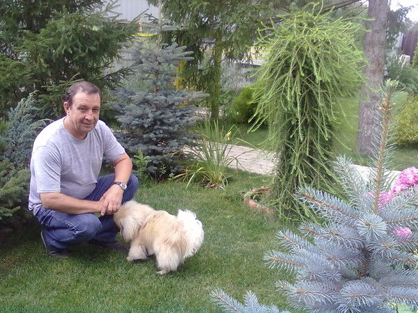 Владимир Ввс