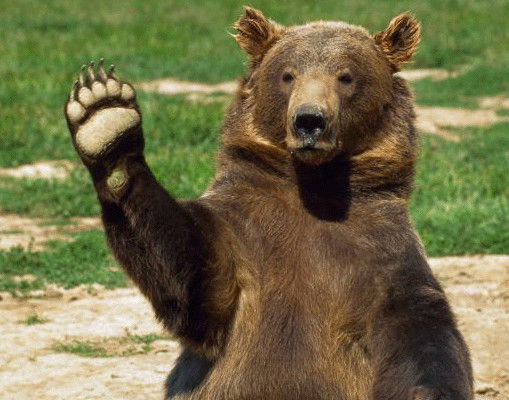 Тёма Галимов