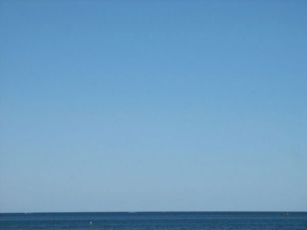 Никита Пономарев