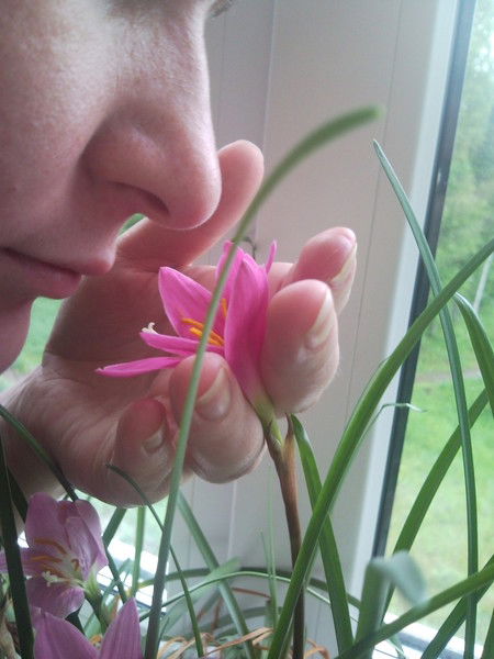 Татьяна Каприян(Савлук)