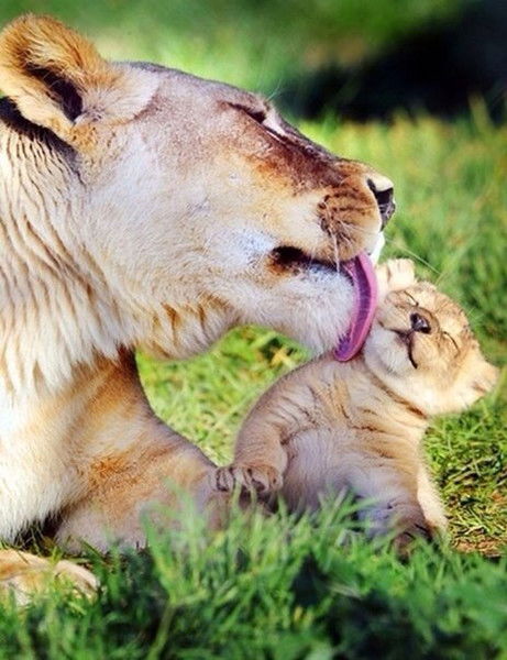 Ляззат Корганбаева