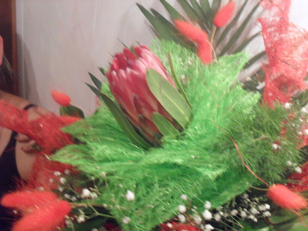 Галина Осипова