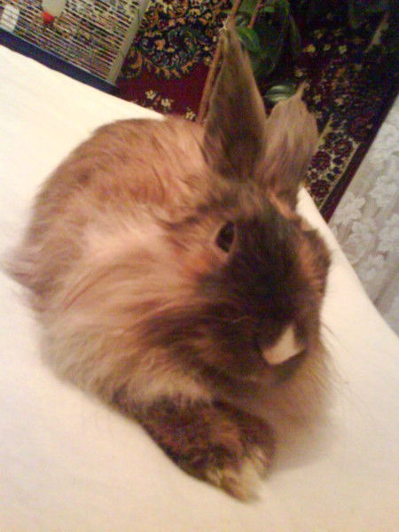 Вова Москаленко