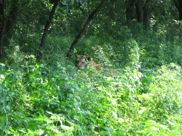 Владимиров Сергей