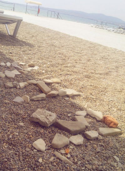 Даша Ливенцова