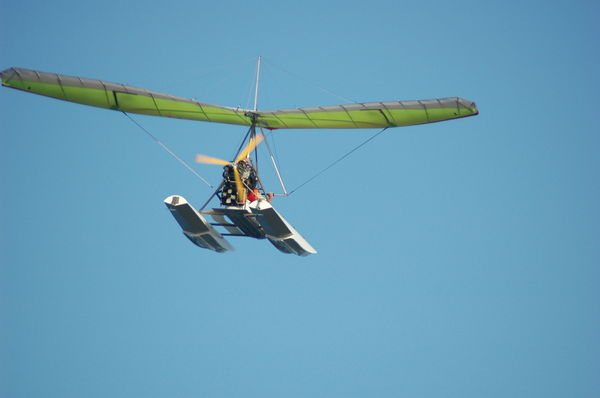 Колян Черсик