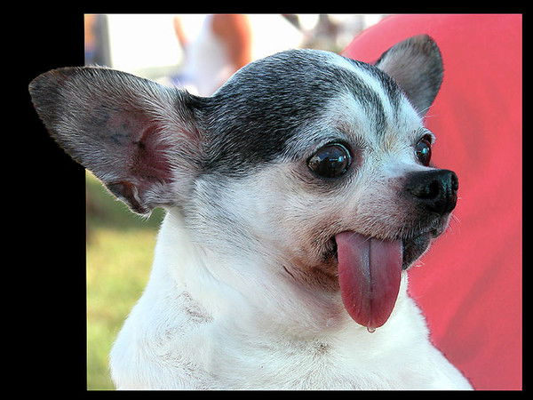 Сергей Сергей