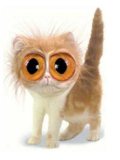 Оксана Биянова