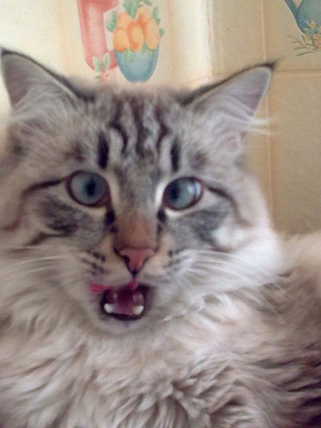 Иван Алексеев