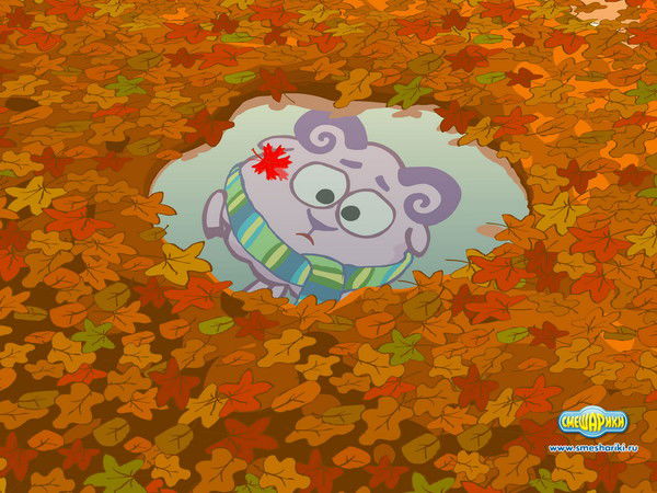 Светлана Стефашина