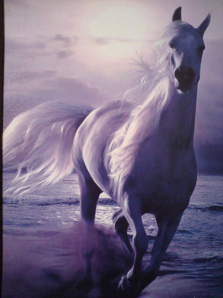 Александр Игнатик